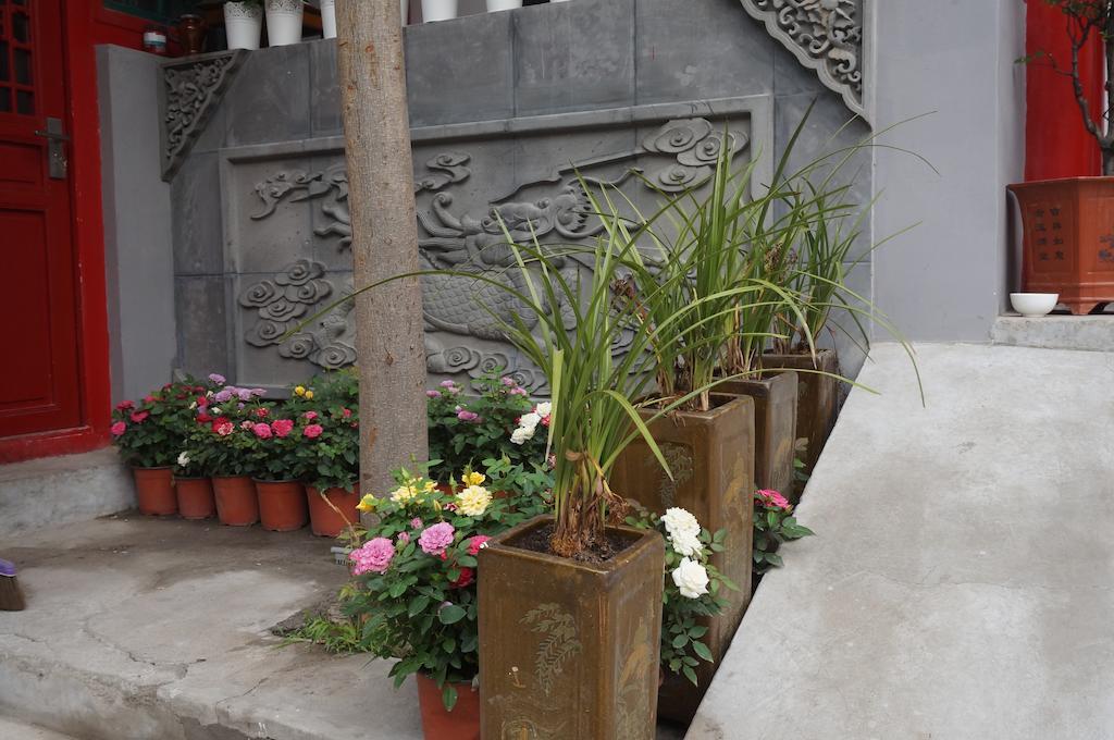 Songy Hundred-Year Courtyard Hotel 北京 エクステリア 写真